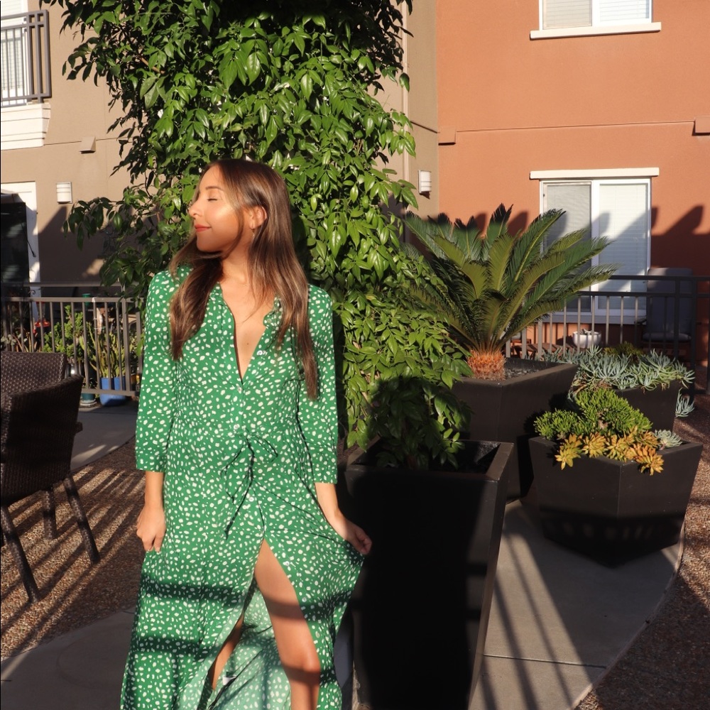 Zara maxi dress
